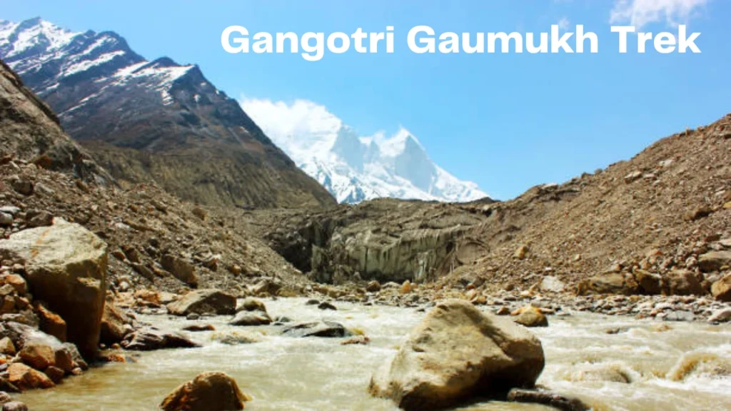 Gangotri-Gaumukh-Trek