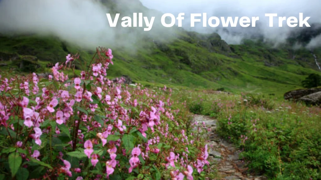 Vally-Of-Flower